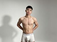 RomeoGrey