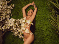 hot video chat EvelineHarlow